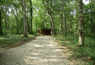 A gravel path leads to a wooden cabin in the lush forest of Ecolodge «en Sequoia» in France.