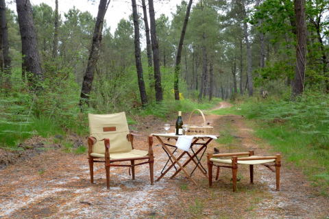 Outdoor picnic setup with chairs, table, and wine in a forest path at Ecolodge «en Sequoia» in France.