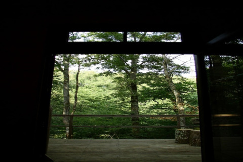 View from a cabin at Ecolodge «en Sequoia» in France, showing a balcony and lush forest scenery outside.