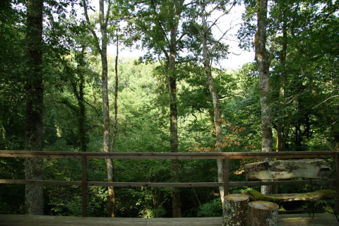 View from a wooden deck at Ecolodge «en Sequoia» in France, overlooking a lush green forest.