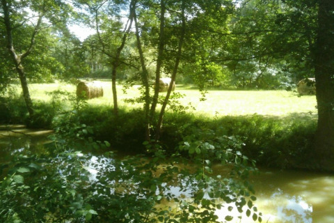 View from Ecolodge «en Sequoia» in France showing a pond, lush greenery, and hay bales in a sunny field.