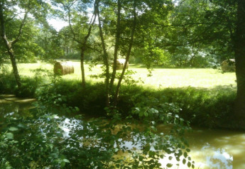 Blick von der Ecolodge «en Sequoia» in Frankreich auf einen Teich, Wiese und Rundballen im Sonnenlicht.