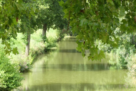 Peaceful green landscape with a calm river and lush trees at Ecolodge «en Sequoia» in France.