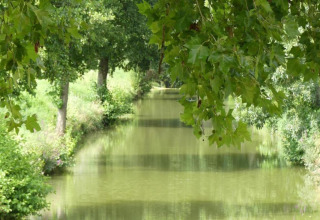 Peaceful green landscape with a calm river and lush trees at Ecolodge «en Sequoia» in France.
