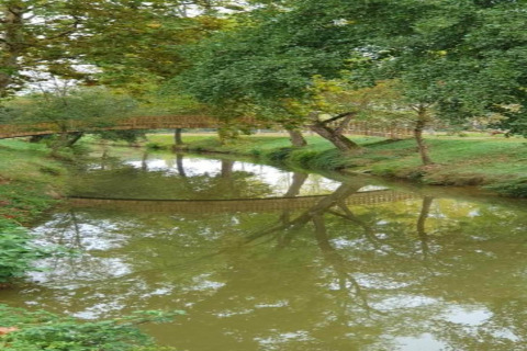 Wooden bridge over a calm river surrounded by lush greenery at Ecolodge «en Sequoia» in France.