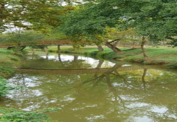 Wooden bridge over a calm river surrounded by lush greenery at Ecolodge «en Sequoia» in France.