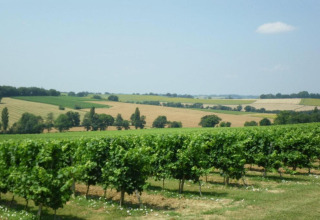 View of rolling fields and vineyards from Ecolodge «en Sequoia» in France, under a clear blue sky.