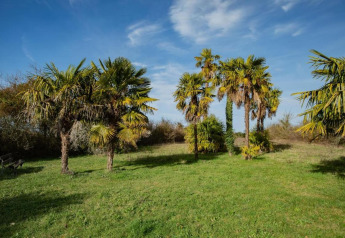 Green meadow with palm trees beneath a blue sky at Ecolodge «en Sequoia» in France.