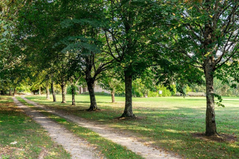 Gravel path through green park at Ecolodge «en Sequoia» in France with trees and sunlight in view.