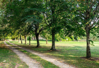 Gravel path through green park at Ecolodge «en Sequoia» in France with trees and sunlight in view.