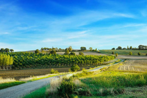 Beautiful rural landscape with fields and trees under a blue sky near Ecolodge «en Sequoia» in France.