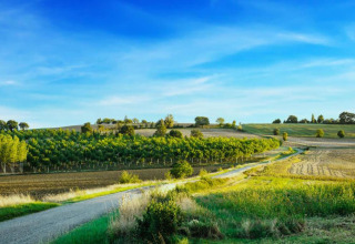 Beautiful rural landscape with fields and trees under a blue sky near Ecolodge «en Sequoia» in France.