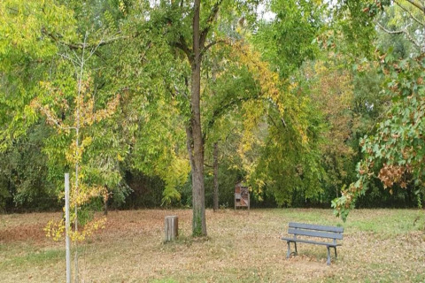 A park with a bench, grassy area, and trees, photographed at Ecolodge «en Sequoia» in France.