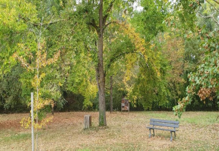 A park with a bench, grassy area, and trees, photographed at Ecolodge «en Sequoia» in France.