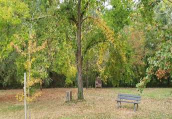 A park with a bench, grassy area, and trees, photographed at Ecolodge «en Sequoia» in France.