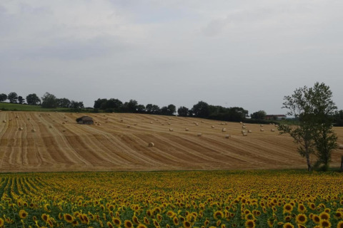 View of sunflowers and hay bales near a cabin at Ecolodge «en Sequoia» in the French countryside.