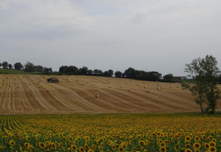 View of sunflowers and hay bales near a cabin at Ecolodge «en Sequoia» in the French countryside.