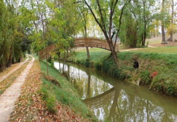 Wooden footbridge crossing a calm river at Ecolodge 'en Sequoia' in France, surrounded by lush greenery.