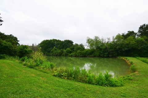 Serene pond with grassy banks and lush trees at Ecolodge «en Sequoia», located in France’s countryside.