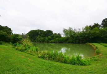 Serene pond with grassy banks and lush trees at Ecolodge «en Sequoia», located in France’s countryside.