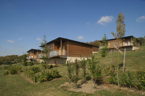 Moderne houten huisjes op een grasrijke helling met jonge bomen en struiken onder een heldere hemel.