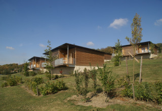 Moderne houten huisjes op een grasrijke helling met jonge bomen en struiken onder een heldere hemel.