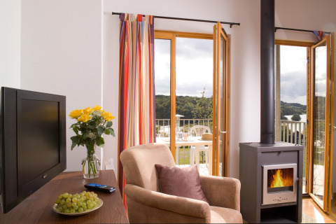 Gezellige lodge met open haard, zetel, bloemen, tv en uitzicht op terras en bos door open deuren.