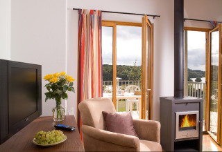 Knusse lodge zithoek met haardvuur, TV, bloemen, druiven en open deuren naar balkon met prachtig uitzicht.