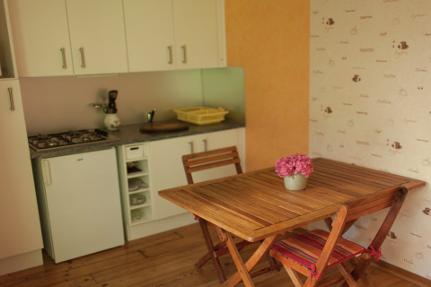 Cocina compacta en Maison de vacances - LE PONCHEL, Francia, con mesa de madera y flores rosas en un florero.