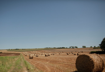 Vista de pacas de heno en un campo soleado cerca de Maison de vacances - LE PONCHEL en Francia.
