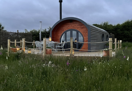 Foto van The Cornflower, een moderne pod-hut met terras, lantaarns en wilde bloemen in het gras.