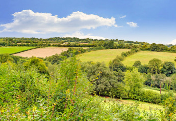Vista dal mobilhome Higher House nel Regno Unito, con campi verdi ondulati e alberi sparsi sotto il cielo.