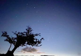 Notte stellata con albero solitario vicino alla casa mobile 'Higher House' nel Regno Unito.