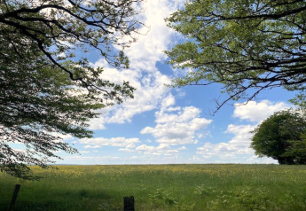 Vista di un prato verde e cielo azzurro nuvoloso presso la casa mobile Higher House nel Regno Unito.