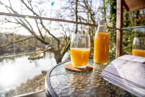 Sole del mattino su tavolo di vetro con succo d’arancia, bottiglia e rivista a Yeworthy Eco-Treehouse, Regno Unito.