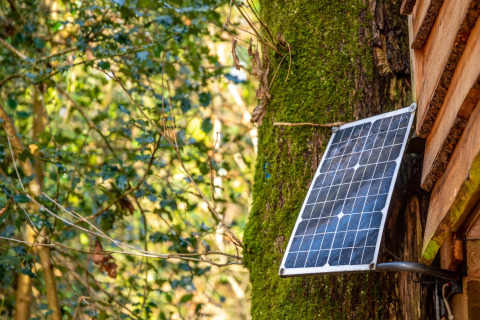 Pannello solare montato su un albero accanto a Yeworthy Eco-Treehouse nel Regno Unito