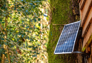Pannello solare montato su un albero accanto a Yeworthy Eco-Treehouse nel Regno Unito
