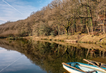 Peaceful lake view with a rowboat and Yeworthy Eco-Treehouse nestled among trees in the UK countryside.