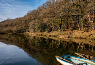 Vista su un lago calmo con una barca e Yeworthy Eco-Treehouse tra gli alberi, Regno Unito.
