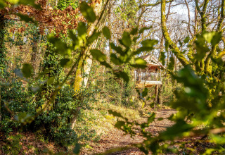 Yeworthy Eco-Treehouse nel Regno Unito, immersa tra alberi e foglie verdi in una foresta soleggiata.