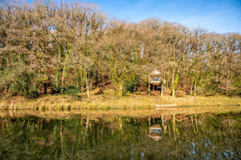 La Yeworthy Eco-Treehouse nel Regno Unito, circondata da alberi spogli e riflessa nelle acque tranquille del lago.