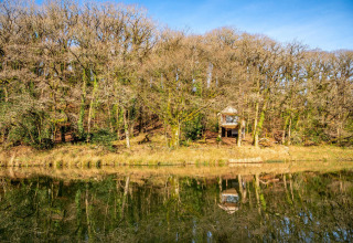 La Yeworthy Eco-Treehouse nel Regno Unito, circondata da alberi spogli e riflessa nelle acque tranquille del lago.