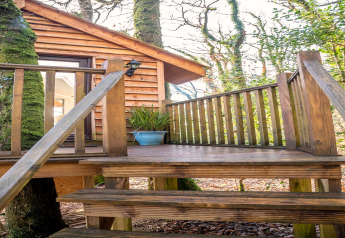 Wooden stairs and deck leading to a cozy treehouse in the woods at Yeworthy Eco-Treehouse, UK.