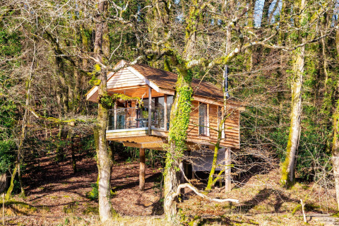 Yeworthy Eco-Treehouse, casa sull’albero moderna immersa tra alberi spogli e natura in una foresta soleggiata.