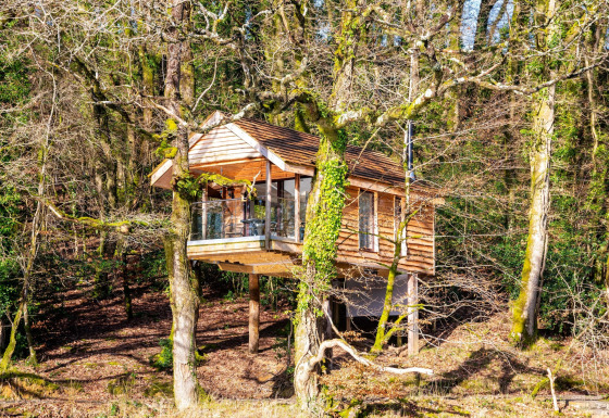 Yeworthy Eco-Treehouse, casa sull’albero moderna immersa tra alberi spogli e natura in una foresta soleggiata.