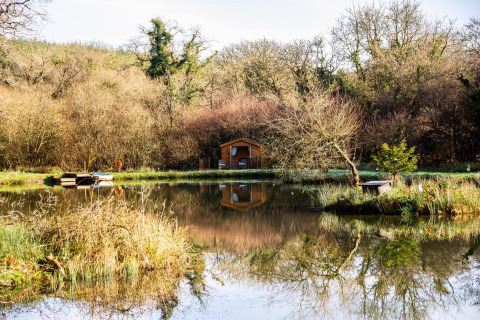 Riflesso della Yeworthy Eco-Treehouse su uno stagno, circondato da alberi e natura nel Regno Unito.