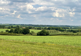 Vue sur des champs verts et des collines boisées sous un ciel partiellement nuageux au Royaume-Uni.