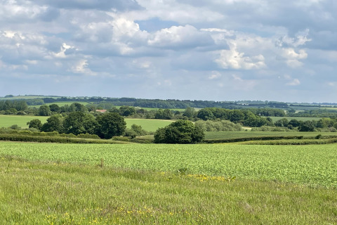 View over green fields and tree-lined hills under a partly cloudy sky at The Campion pod, United Kingdom.