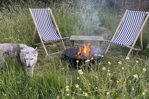 Buiten bij een pod: Twee ligstoelen, een vuurkorf, een tafel en een hond in hoog gras met madeliefjes.