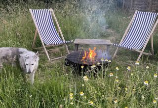 Buiten bij een pod: Twee ligstoelen, een vuurkorf, een tafel en een hond in hoog gras met madeliefjes.